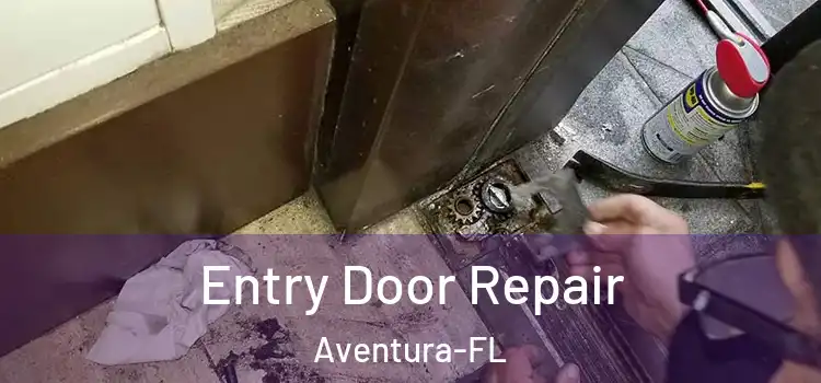 Entry Door Repair Aventura-FL