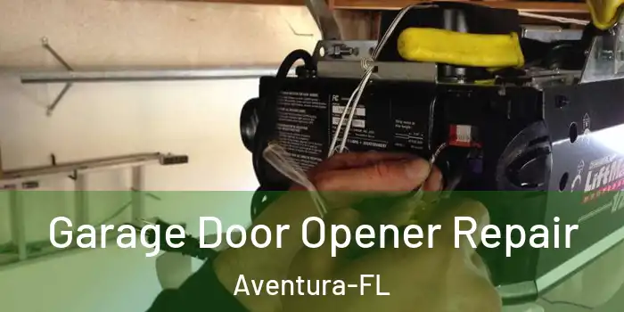 Garage Door Opener Repair Aventura-FL