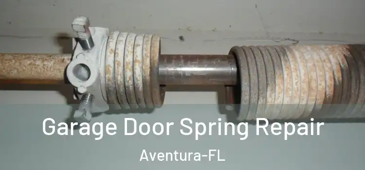 Garage Door Spring Repair Aventura-FL