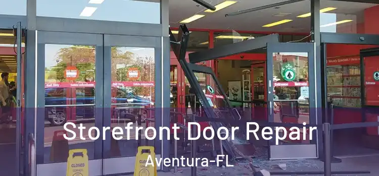 Storefront Door Repair Aventura-FL